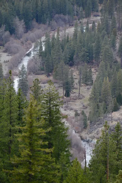 DSC_3081 (Large).JPG